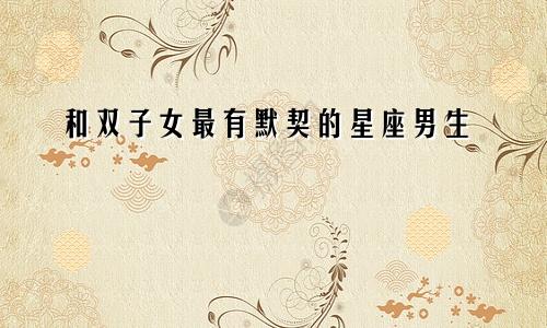 和双子女最有默契的星座男生