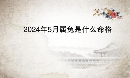 2024年5月属兔是什么命格