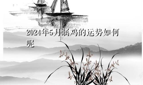 2024年5月属鸡的运势如何呢