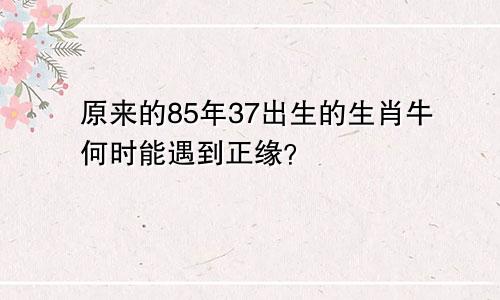 原来的85年37出生的生肖牛何时能遇到正缘？