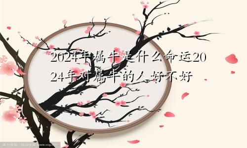 2024年属牛是什么命运2024年对属牛的人好不好