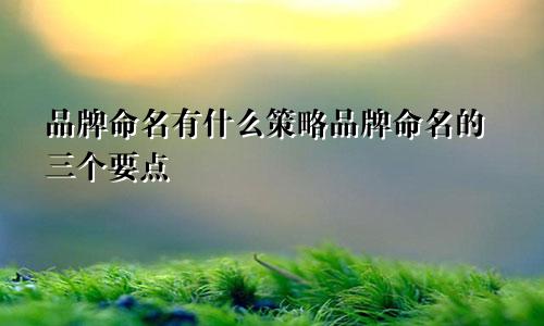 品牌命名有什么策略品牌命名的三个要点