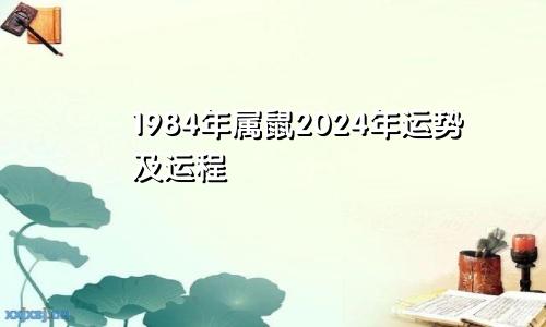 1984年属鼠2024年运势及运程