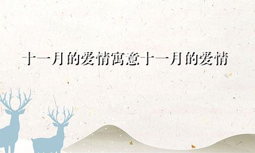十一月的爱情寓意十一月的爱情