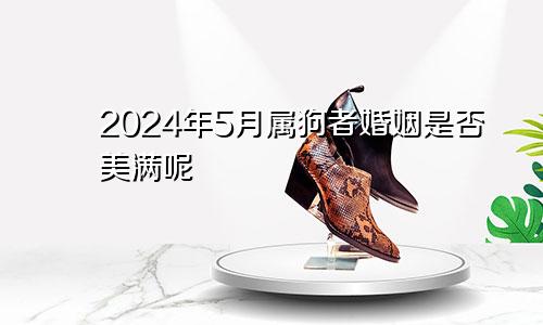 2024年5月属狗者婚姻是否美满呢