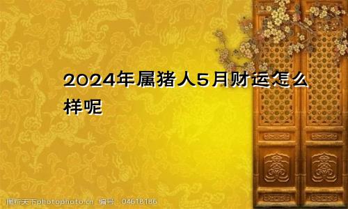 2024年属猪人5月财运怎么样呢