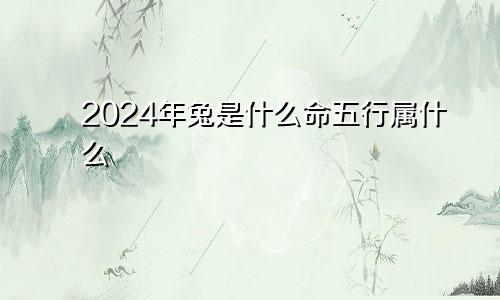2024年兔是什么命五行属什么