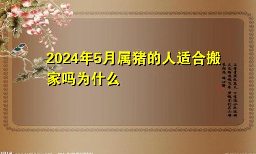 2024年5月属猪的人适合搬家吗为什么