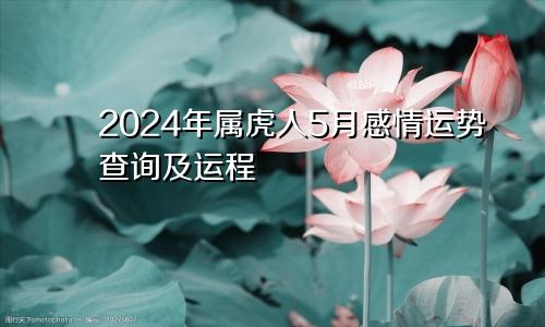 2024年属虎人5月感情运势查询及运程
