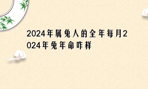 2024年属兔人的全年每月2024年兔年命咋样
