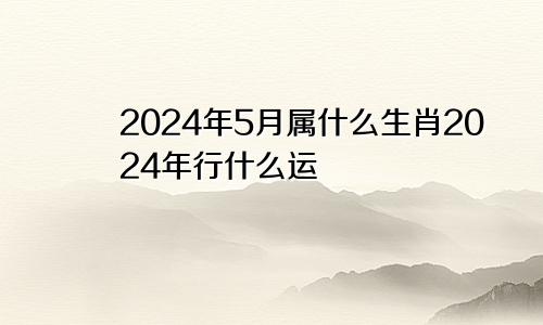 2024年5月属什么生肖2024年行什么运