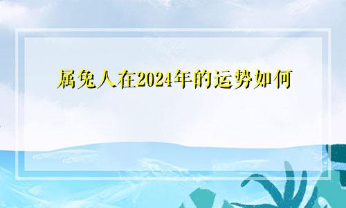属兔人在2024年的运势如何