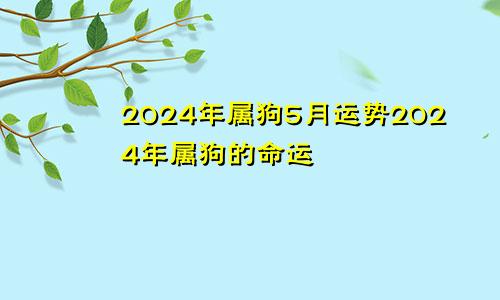 2024年属狗5月运势2024年属狗的命运
