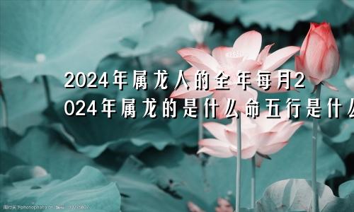2024年属龙人的全年每月2024年属龙的是什么命五行是什么