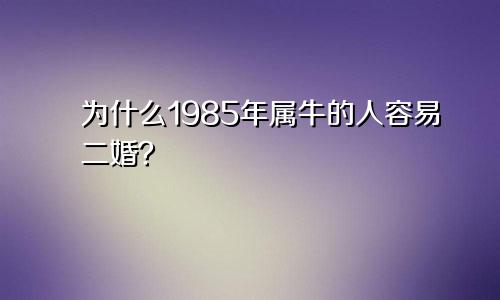 为什么1985年属牛的人容易二婚？