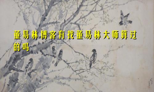 董易林博客有找董易林大师算过的吗