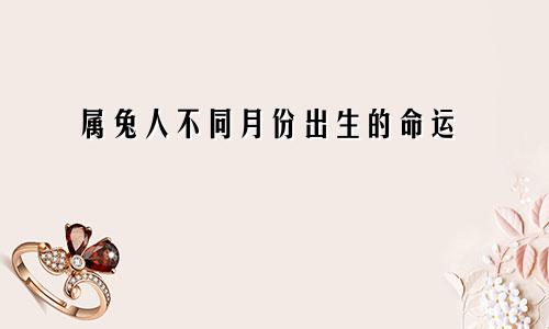 属兔人不同月份出生的命运