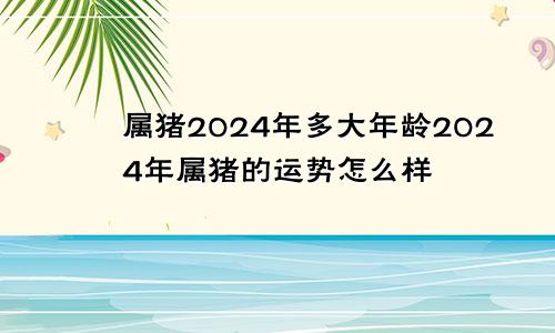 属猪2024年多大年龄2024年属猪的运势怎么样