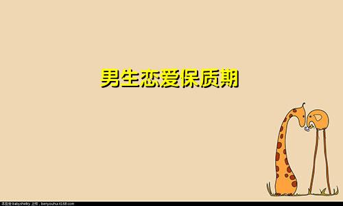 男生恋爱保质期