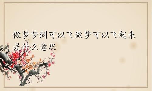 做梦梦到可以飞做梦可以飞起来是什么意思