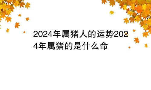 2024年属猪人的运势2024年属猪的是什么命