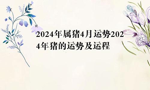 2024年属猪4月运势2024年猪的运势及运程