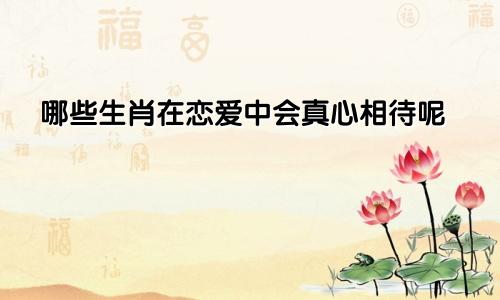 哪些生肖在恋爱中会真心相待呢