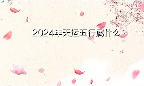 2024年天运五行属什么