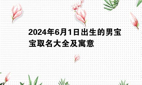 2024年6月1日出生的男宝宝取名大全及寓意