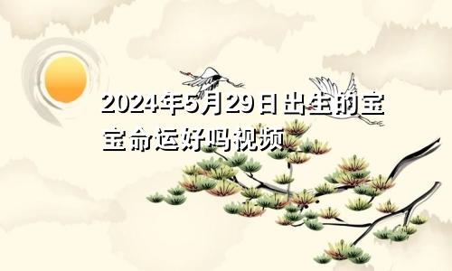2024年5月29日出生的宝宝命运好吗视频