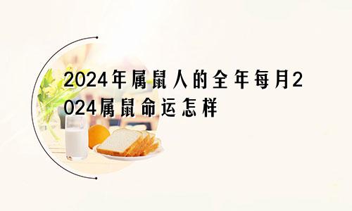 2024年属鼠人的全年每月2024属鼠命运怎样