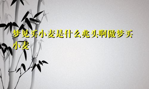 梦见买小麦是什么兆头啊做梦买小麦