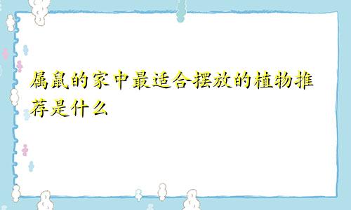 属鼠的家中最适合摆放的植物推荐是什么