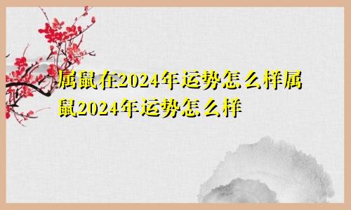 属鼠在2024年运势怎么样属鼠2024年运势怎么样