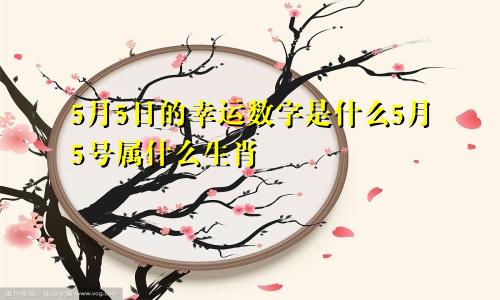 5月5日的幸运数字是什么5月5号属什么生肖