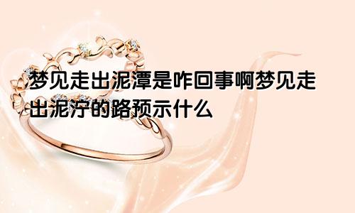 梦见走出泥潭是咋回事啊梦见走出泥泞的路预示什么