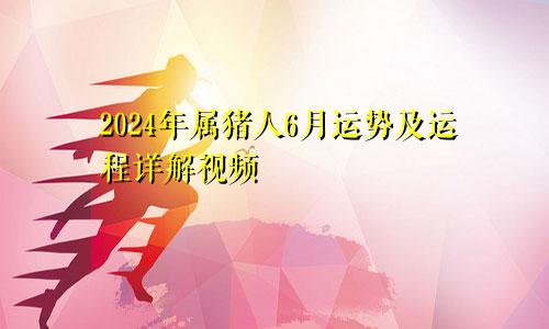 2024年属猪人6月运势及运程详解视频