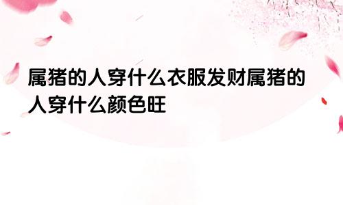 属猪的人穿什么衣服发财属猪的人穿什么颜色旺