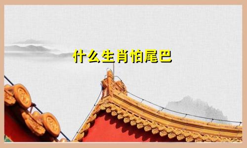 什么生肖怕尾巴