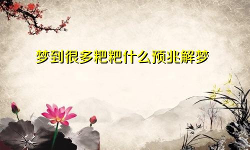 梦到很多粑粑什么预兆解梦