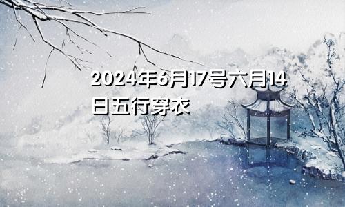 2024年6月17号六月14日五行穿衣