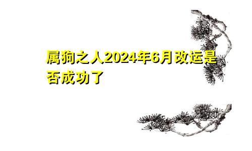 属狗之人2024年6月改运是否成功了