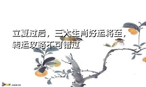 立夏过后，三大生肖好运将至，转运攻略不可错过