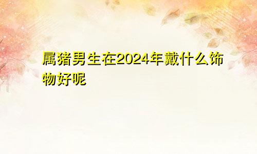 属猪男生在2024年戴什么饰物好呢
