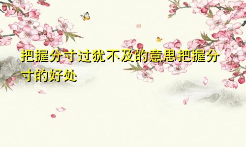 把握分寸过犹不及的意思把握分寸的好处