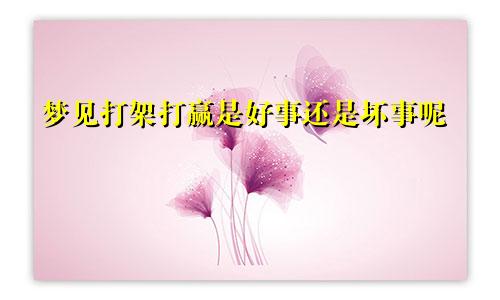 梦见打架打赢是好事还是坏事呢