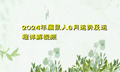 2024年属鼠人6月运势及运程详解视频