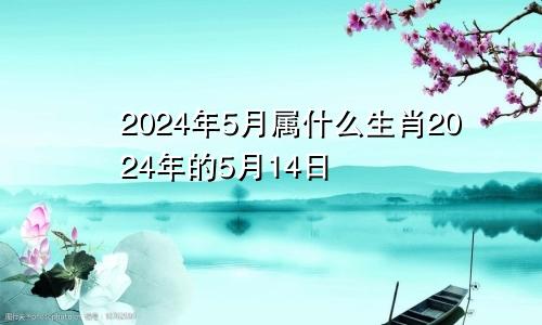 2024年5月属什么生肖2024年的5月14日