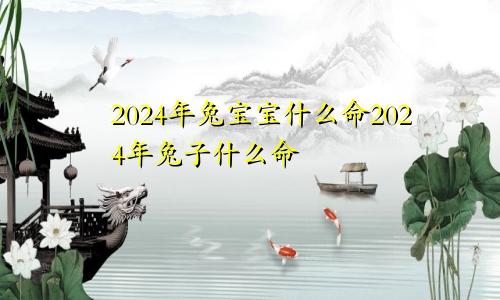 2024年兔宝宝什么命2024年兔子什么命