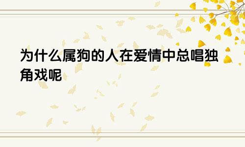 为什么属狗的人在爱情中总唱独角戏呢
